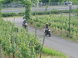 20130422_120946 (7)