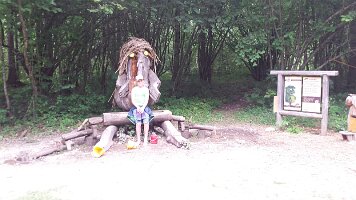 20160817_123037