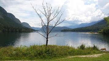 20160817_124026