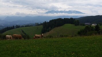 20160818_130724
