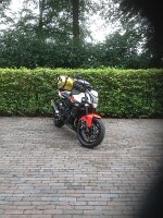 IMG_3249