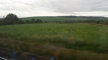 20160820_073634