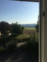IMG_3526