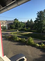 IMG_3527