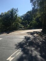IMG_3534