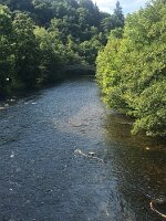 IMG_3535