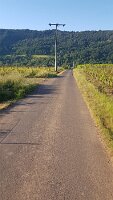 20200530_071833
