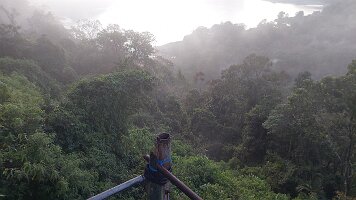 20240419_062341 (1)